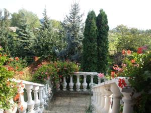 Ảnh trong thư viện ảnh của SAMU Vendégház ở Vértesszőlős