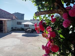 Zahrada ubytování A casa do lajueiro