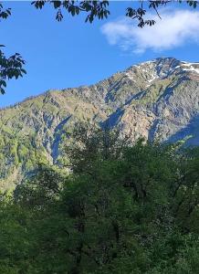 Příroda nedaleko prázdninového domu + 2 fotografie