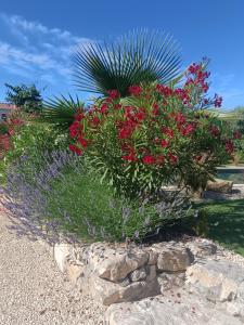 Zahrada ubytování Douce Provence Magnifique appartement neuf avec jardin proche du centre ville