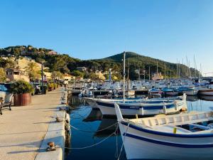 a bunch of boats are docked in a marina at Studio cosy en bord de mer in Saint-Cyr-sur-Mer
