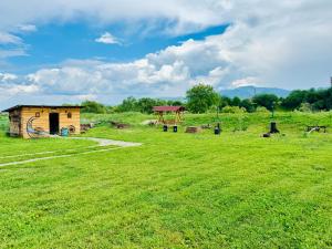 Peisaj natural din apropierea acestui chalet
