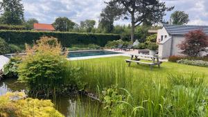 Bazén v ubytování Ikigai B&B - wellness nebo v jeho okolí