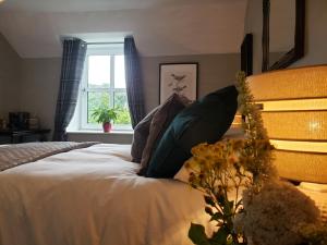 sypialnia z łóżkiem z poduszkami i oknem w obiekcie Bryansford Cottage w mieście Castlewellan +16 zdjęć