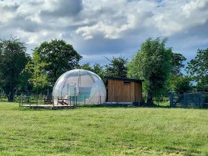 a large dome tent in a field with a shed at La Bulle des alpagas in Herry
