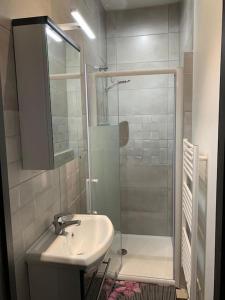 un bagno con lavandino e doccia di GITE du Phoque Gris a Berck-sur-Mer