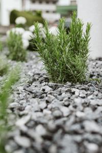 Κήπος έξω από το Lebe' scharnitz