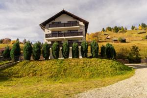 a house on top of a hill with trees at Bucegi Panorama in Moieciu de Sus