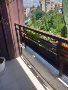 Un banco de madera sentado en un balcón con un cactus. en Apartman MDj, en Žarkovo