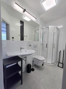 a bathroom with a sink and a shower and a toilet at Słoneczny Brzeg - Apartamenty w Pieninach in Krościenko +74 photos