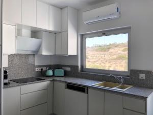 Kuchyň nebo kuchyňský kout v ubytování Alania Sea View Apartment