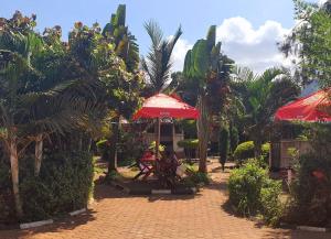 a resort with red umbrellas and palm trees at Akagera Neighbors in Kabarondo