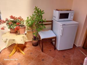 Kuchyň nebo kuchyňský kout v ubytování Homestay Kostadinov
