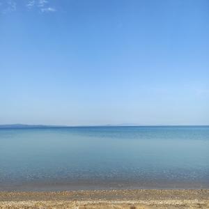 Φυσικό τοπίο κοντά σε αυτό το διαμέρισμα