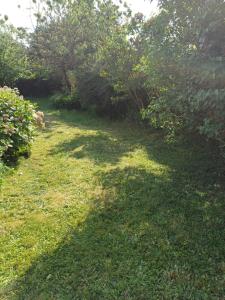 BerrienにあるMaison pour séjour à 2の木々のある芝生の庭とその日陰にいる犬