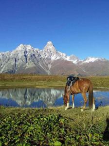 Paesaggio naturale nelle vicinanze dell'affittacamere