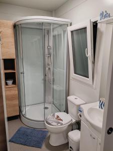 a bathroom with a shower and a toilet and a sink at EMMI Mobile Home in Sveti Petar