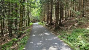 Paesaggio naturale nelle vicinanze dell'appartamento