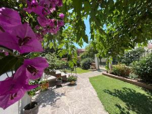 Κήπος έξω από το Villa Alexander 