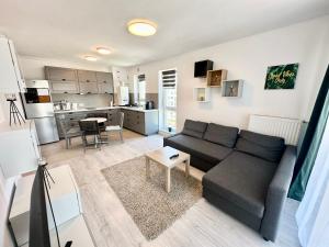 a living room with a couch and a kitchen at Kasper Coresi Mall - Rise Private Apartments & Suites in Braşov +122 photos