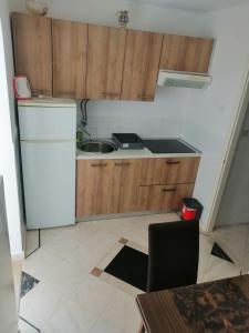 Kuhinja ili čajna kuhinja u objektu Apartments Rako