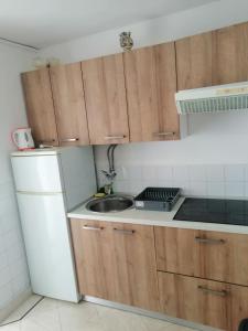 Kuhinja ili čajna kuhinja u objektu Apartments Rako