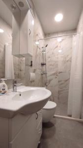 a bathroom with a sink and a toilet and a shower at Bungevilia Apartment in Gruda +19 photos
