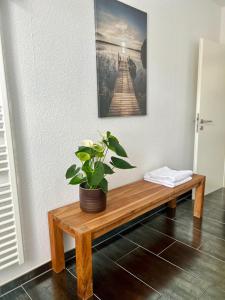 a potted plant sitting on a wooden bench in a room at Große Wanderunterkunft am Hexentanzplatz U in Thale +9 photos