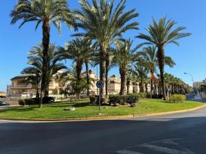 Imagen de la galería de Sea-Esta Apartamento, en Guardamar del Segura