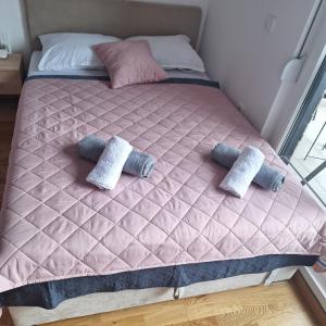 En eller flere senge i et værelse på Studio apartman Delight Vrnjačka banja