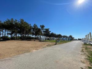 an empty road next to a park with trees at My House in Paralia Messi in Aroyí