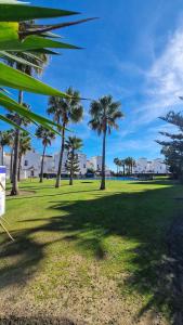 a group of palm trees in a grass field at Casa Feliz - Stunning 2 bed Penthouse in Manilva with pool, sea and mountain views, close to the beach and facilities in Manilva
