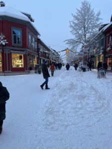 Mountain appartment trong mùa đông +3 ảnh