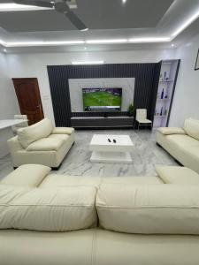 TV a/nebo společenská místnost v ubytování Guidi