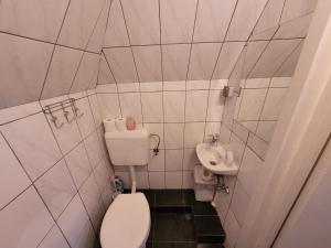 a small bathroom with a toilet and a sink at Balázs Holiday Apartment in Băile Tuşnad +20 photos