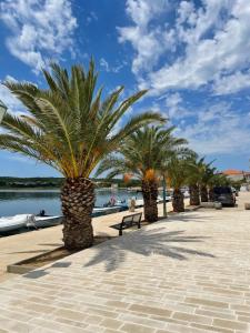 a row of palm trees on a sidewalk next to the water at Olive Garden in Posedarje