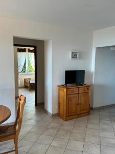 TV a/nebo společenská místnost v ubytování villa arbutu