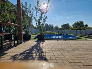 a tree in a pot next to a swimming pool at Casa Gimi in Baile Unu Mai