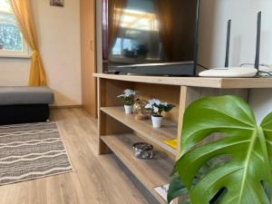 TV a/nebo společenská místnost v ubytování Apartments Zupan