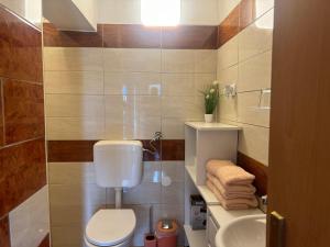 Koupelna v ubytování Apartments Zupan