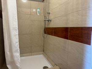 Koupelna v ubytování Apartments Zupan