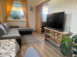TV a/nebo společenská místnost v ubytování Apartments Zupan