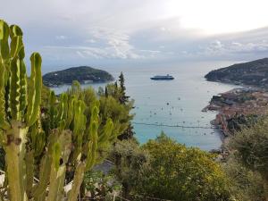 Paesaggio naturale nelle vicinanze dell'appartamento