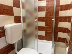 Koupelna v ubytování Apartments Zupan