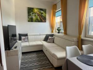 Posezení v ubytování Apartments Zupan