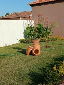 Giardino di Elite Serviços Lda