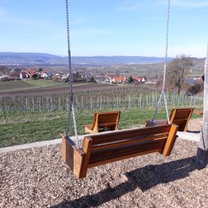 zwei Stühle auf einer Schaukel in einem Weinberg in der Unterkunft Ferienwohnung Aspisheim in Aspisheim