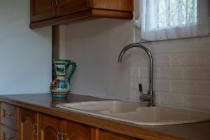a kitchen with a sink and a vase on a counter at Villa Kali-mera in Sykia Chalkidikis +29 photos