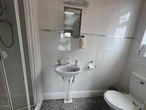 a bathroom with a sink and a toilet at The Northdale Hotel Ltd in Skegness