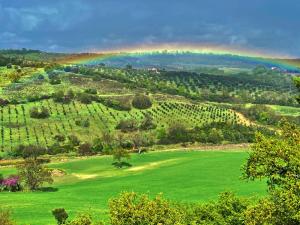 um arco-íris sobre uma encosta verde com um campo em Le Tartarughe rooms em Magliano in Toscana mais 37 fotografias